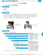ALV 系列電磁閥資料