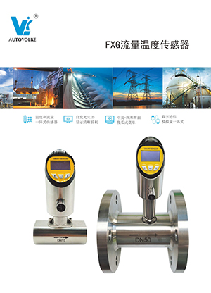 FXG 流量溫度傳感器資料